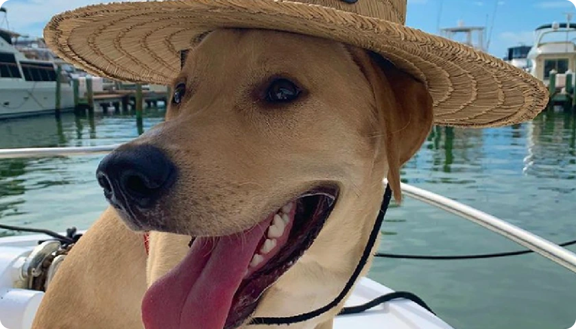 Premium yacht and boat service at Ocean Blue Yacht Sales